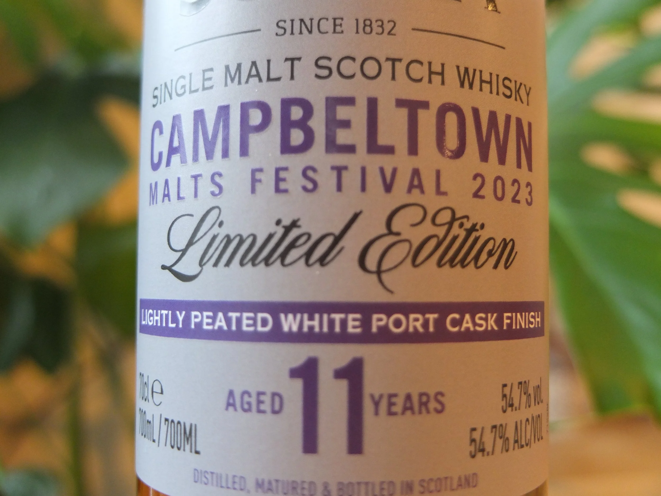 Glen Scotia 2023 Festival 11yo — Dramface